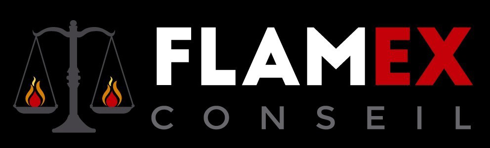 Flamex-conseil-entreprise-specialiste-fumisterie-perpignan-66